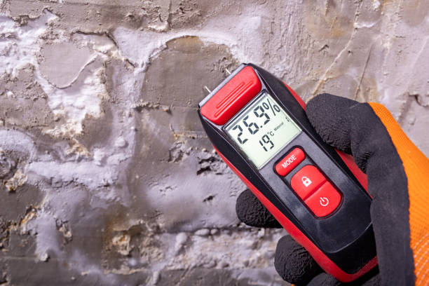 Professional Mold Remediation in Brandon, SD