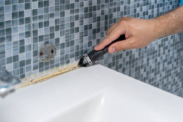 Best Residential Mold Remediation in Brandon, SD