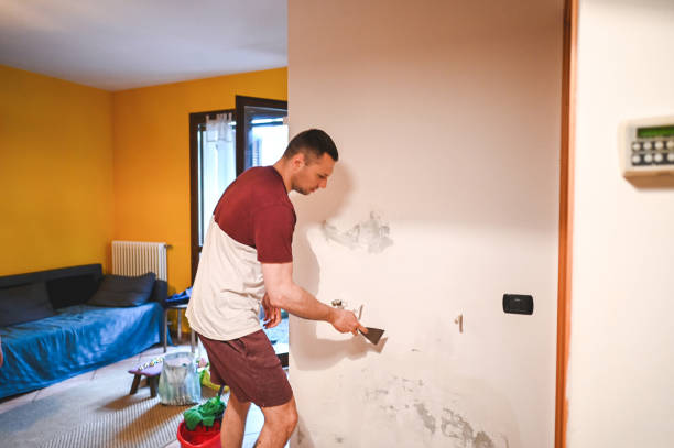 Best Commercial Mold Remediation in Brandon, SD